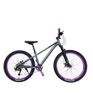 xe đạp quảng ngãi