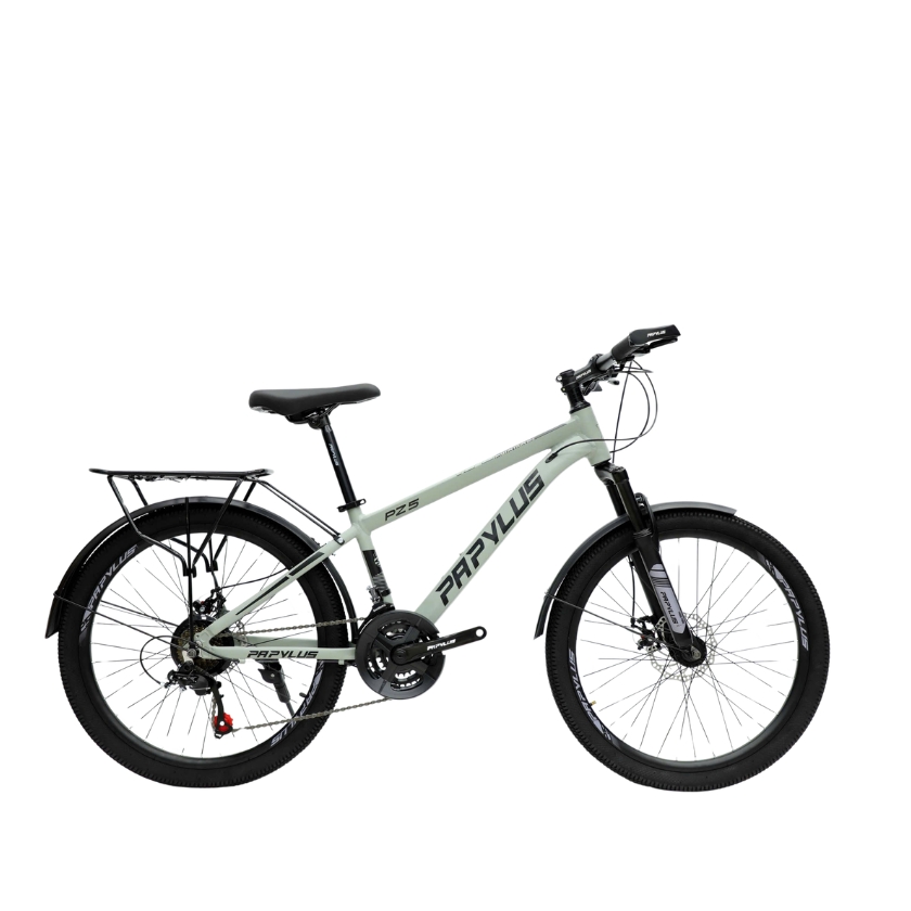 xe đạp quảng ngãi xe đạp quảng ngãi