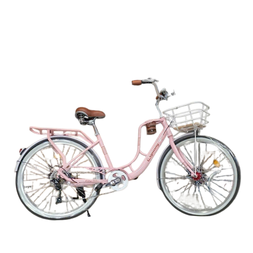 xe đạp quảng ngãi xe đạp quảng ngãi