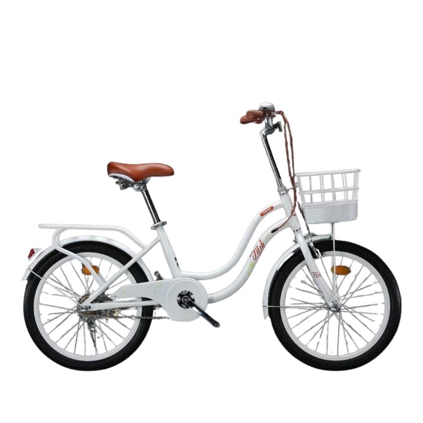 Xe đạp TAIK sườn cong (1)