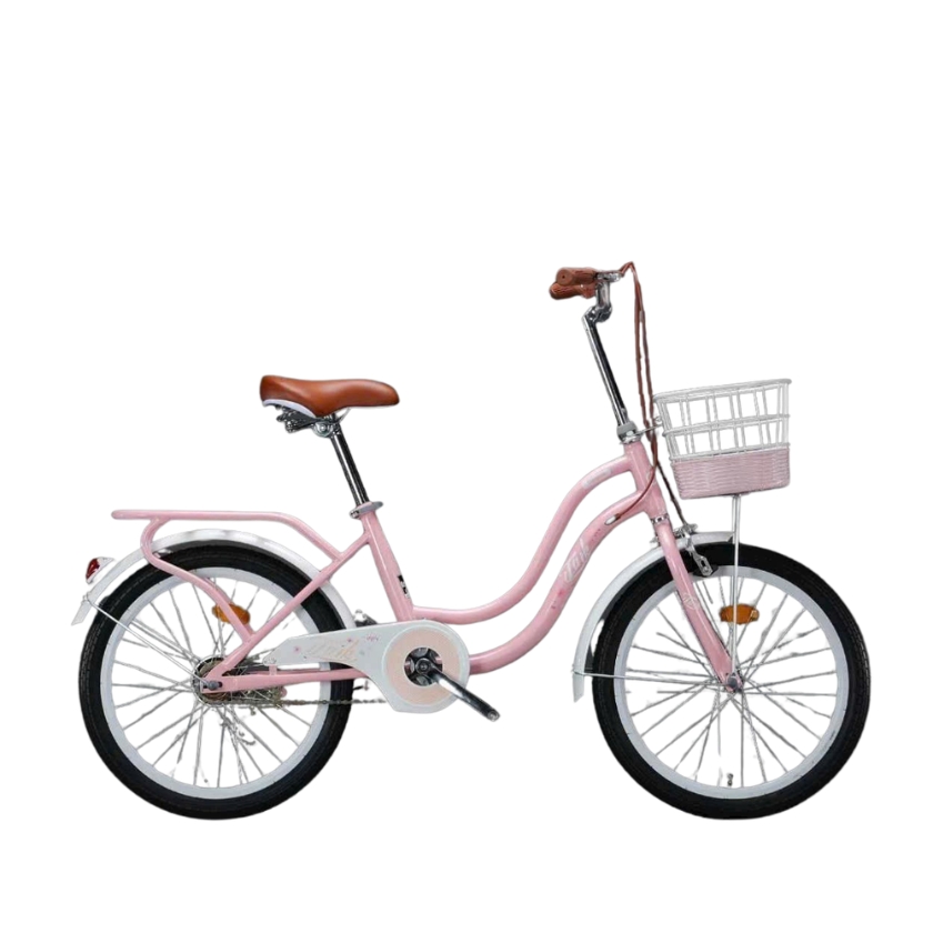 Xe đạp TAIK sườn cong (4)